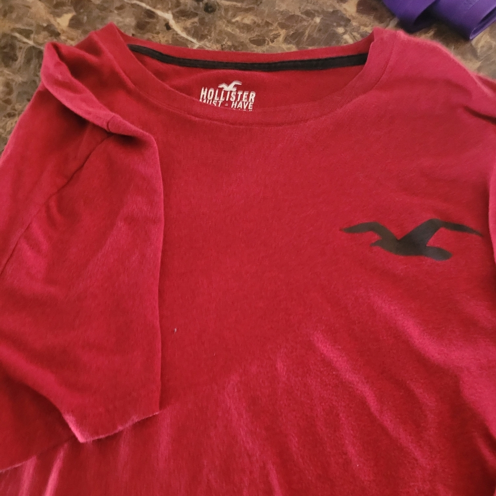 Hollister mens tshirt